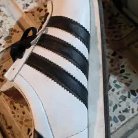 کتونی ادیداس ساموا