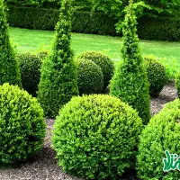 زمین-ساحلی-200-متری-رادیو-دریا