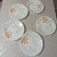 پیشدستی ارکوپال