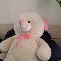 خرس پاندا