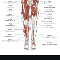 کاردرمانی ، فیزیوتراپی و طب سوزنی تخصصی