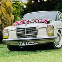 خدمات مجالسvipباران