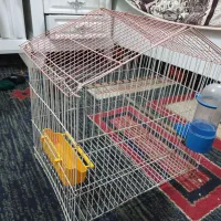 قفس پرنده|لوازم جانبی حیوانات|اهواز, گلستان|دیوار