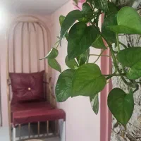 اجاره لاین آرایشگاه