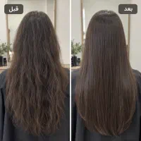 احیامو