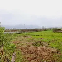 فروش شالیزار غرب گیلان