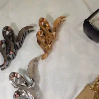 شیک پسند