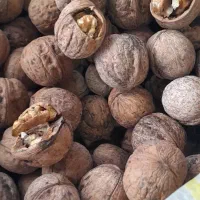 برنج هاشمی و گردو