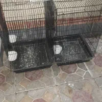 قفس کاسکو پرنده