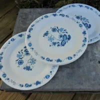 آرکوپال فرانسه آکبند کمانگیر