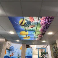 آسمان مجازی سقف تایل، آرمسترانگ