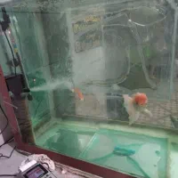 اکواریوم بزرگ ارزون