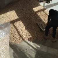 خرید و فروش بادام به قیمت تجاری|خوردنی و آشامیدنی|نجف‌آباد, رجایی شمالی|دیوار