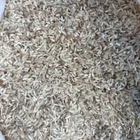 فروش ضایعات برنج هاشمی