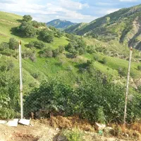 فروش خانه باغ روستای چنان