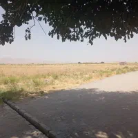 زمین نقد و اقساط با موقعیت مکانی عالی|فروش زمین و ملک کلنگی|مشهد, تبادکان|دیوار