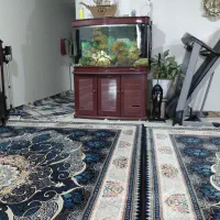 آکواریوم شرکتی