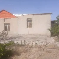 ۱۳۰۰متر خونه باغ|فروش خانه و ویلا|سبزوار, قصبه غربی|دیوار