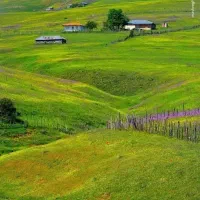 تور ویژه  یک‌روزه نئور تا سوباتان