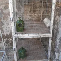 فروشی جفتی محکم تمیز،تورریز بافت|لوازم جانبی حیوانات|بوئین زهرا, |دیوار