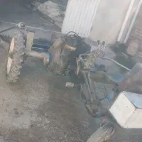 علف چین