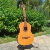 گیتار پارسی M5