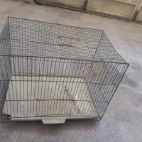قفس پرنده گان