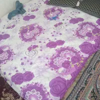 دوشگ تمیز پلاستیک روش هست