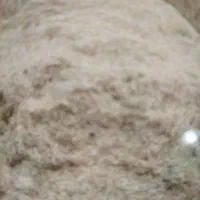 فروش کاه گندم