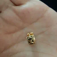 گوشوارم گم شده هرکی پیدا کرد لطفا تماس بگیرید
