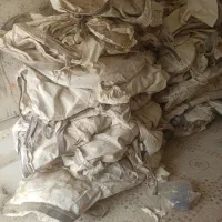 جامبو یا شیلیف