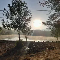 زمین-پرنیان-انفرادی