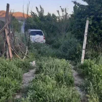 باغ ۱۰ ساله مثمر بر اتوبان تهران|فروش دفتر صنعتی، کشاورزی، تجاری|کرمانشاه, |دیوار