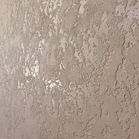 پتینه ،میکروسمنت ، نقاشی ساختمان با دستگاه ایرلس|خدمات پیشه و مهارت|شیراز, سینما سعدی|دیوار