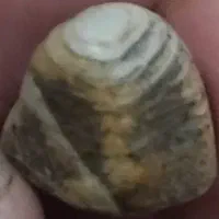 فروش سنگ قیمتی