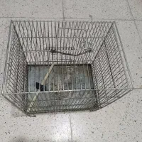 قفس پرنده|لوازم جانبی حیوانات|سنندج, |دیوار