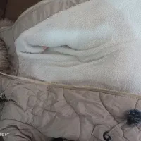 کاپشن مناسب 8تا12سال|لباس|اندیمشک, |دیوار