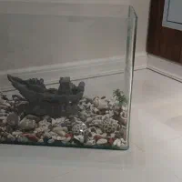 آکواریم سالم شیشه خم به همراه لوازم