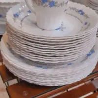 ظروف آرکوپال و چینی مقصود