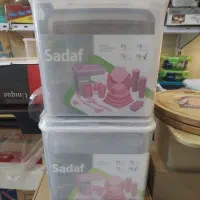 ظرف مسافرتی