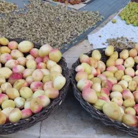 باغ-ک-هله-سانیج-ویلای-بسیار-محکم-و-شیک