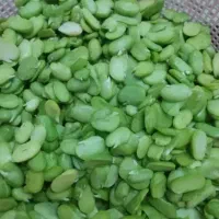 باقلا ترو تازه و سبز و فوق العاده خوش پخت