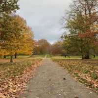 دنبال کار هستم