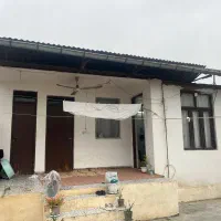 شمال سیمرغ کیاکلا