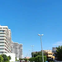 تک خواب/نوبنیاد