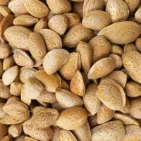 بادام وابغوره درجه یک به شرط