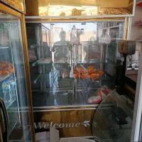 وسایل کامل مرغ فروشی و سوپری|فروشگاه و مغازه|شیراز, شهرک جماران|دیوار