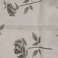 فروش ویژه سفره یکبار مصرف