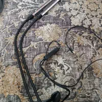 چراغ رشد گیاه