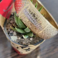 تکپوش سایز۳ النگو بچگانه و انگشتر